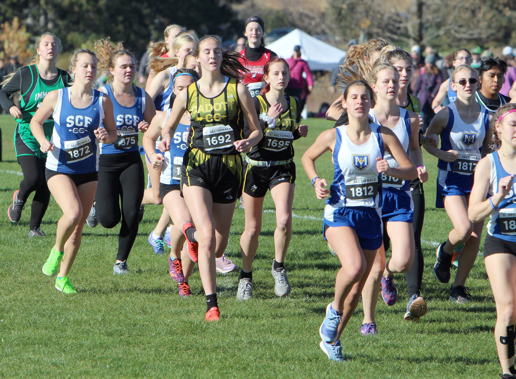 Division 3 Cross Country Sectionals in Boyceville 10-26-19